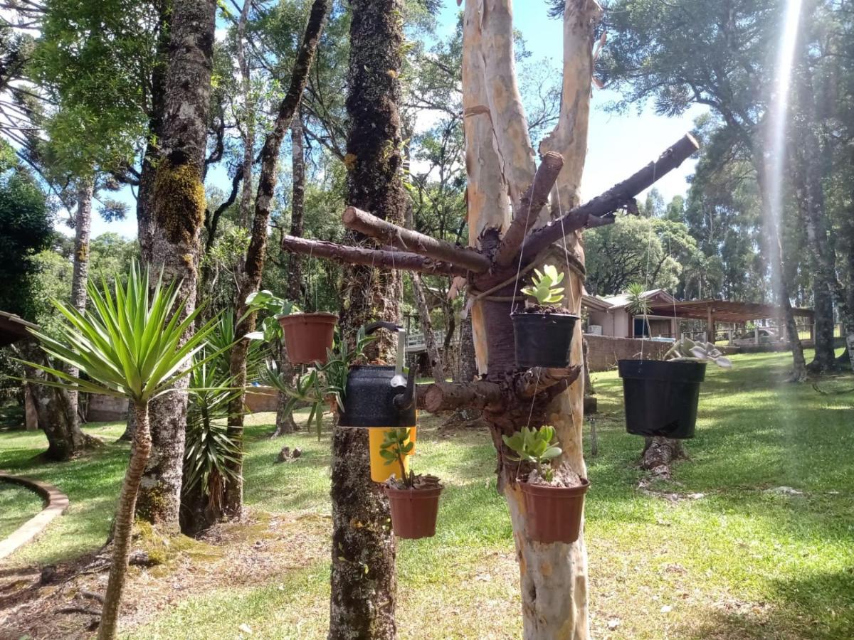 Quartos Recanto Da Natureza Interior Канела Екстериор снимка